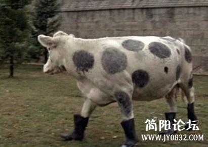未命名.jpg