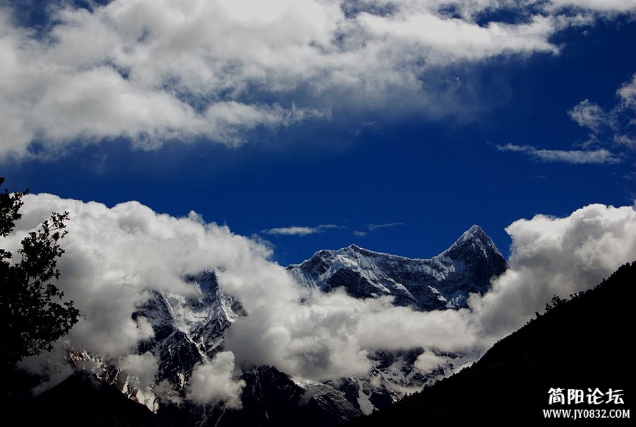 IMGP6292m3.jpg