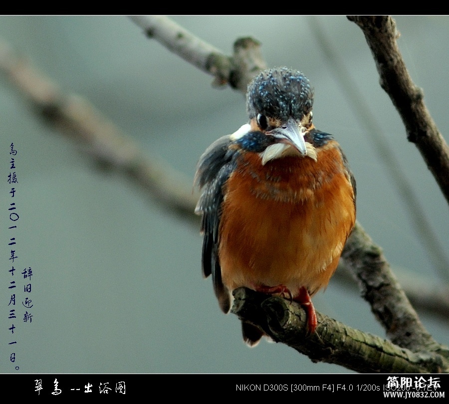 翠16.jpg