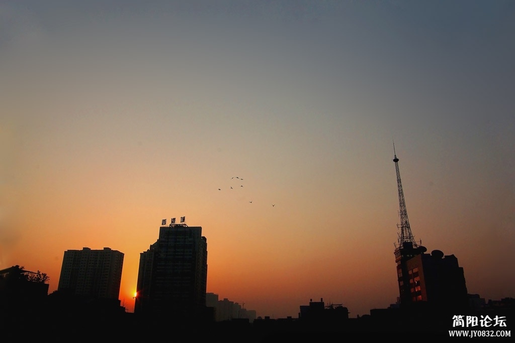 IMGP6078am6.jpg