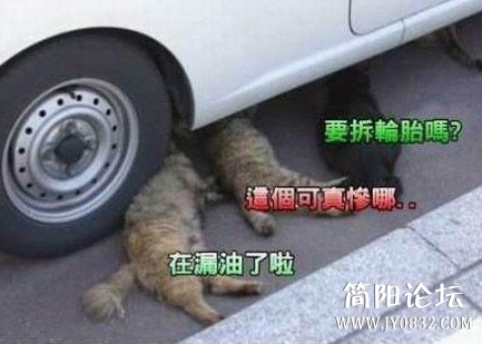 未命名.jpg