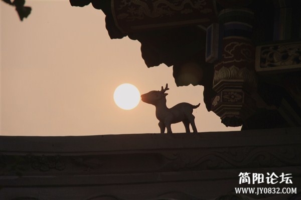 IMG_2502_副本.jpg