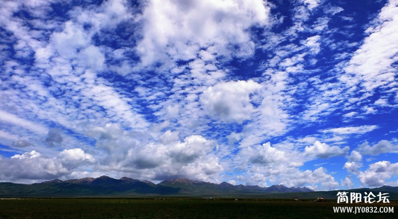 P1020196 1副本.jpg