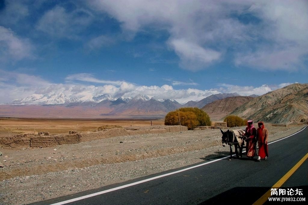 IMGP5420m4.jpg