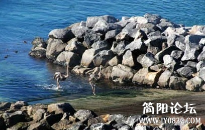 未命名.jpg