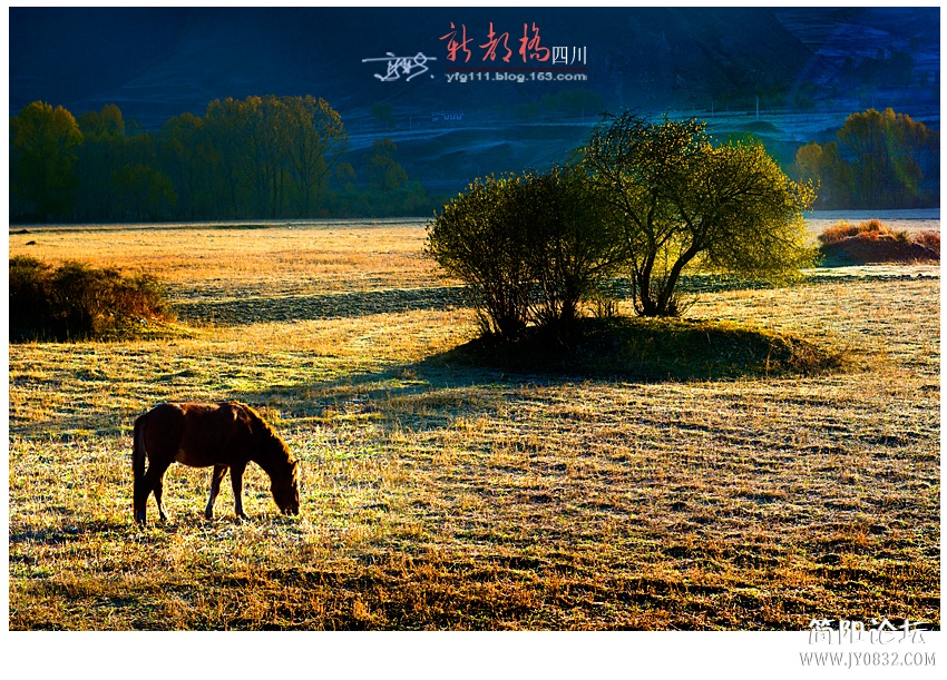 新都桥（二）——01.jpg