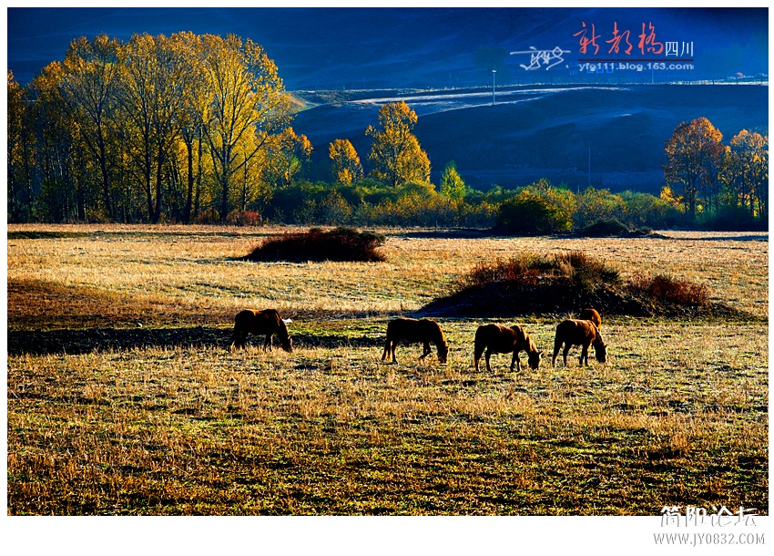 新都桥（二）——11.jpg