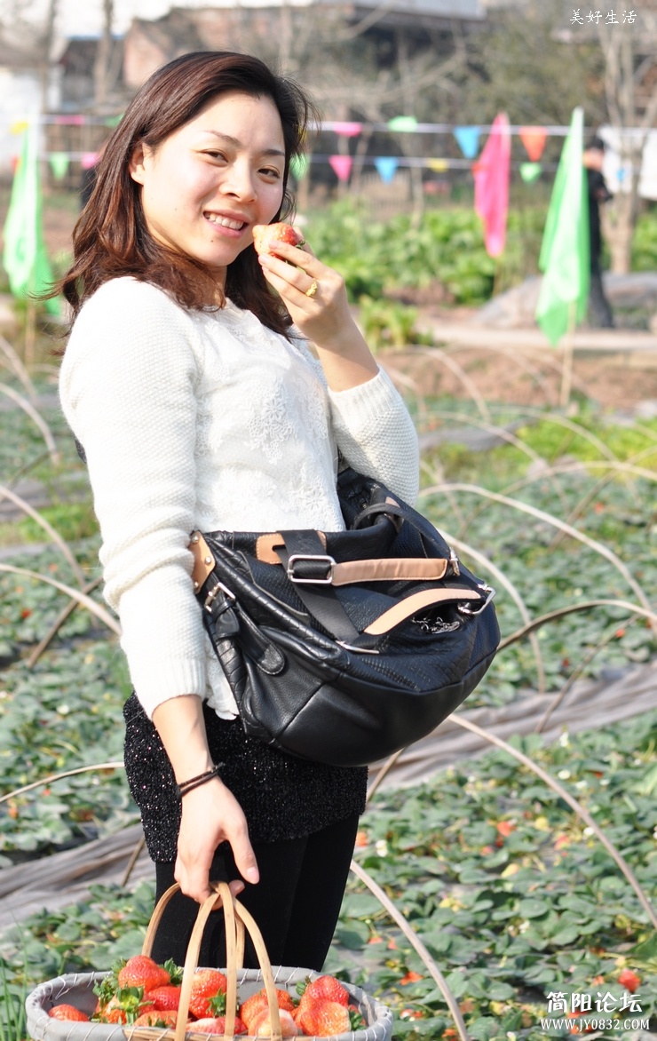 DSC_0288.JPG