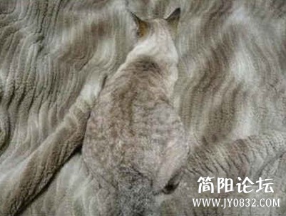 未命名.jpg