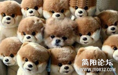 未命名.jpg