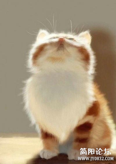 mg (19).jpg