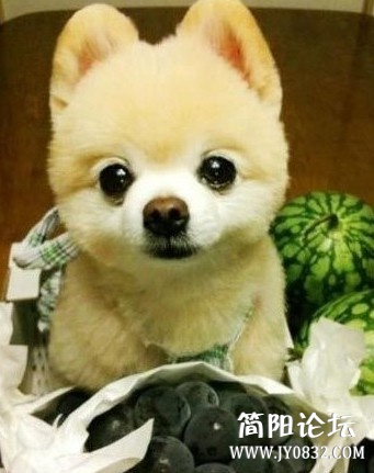 未命名.jpg