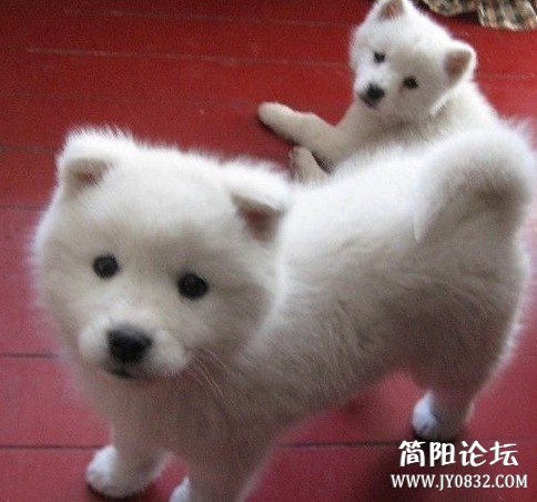 未命名.jpg