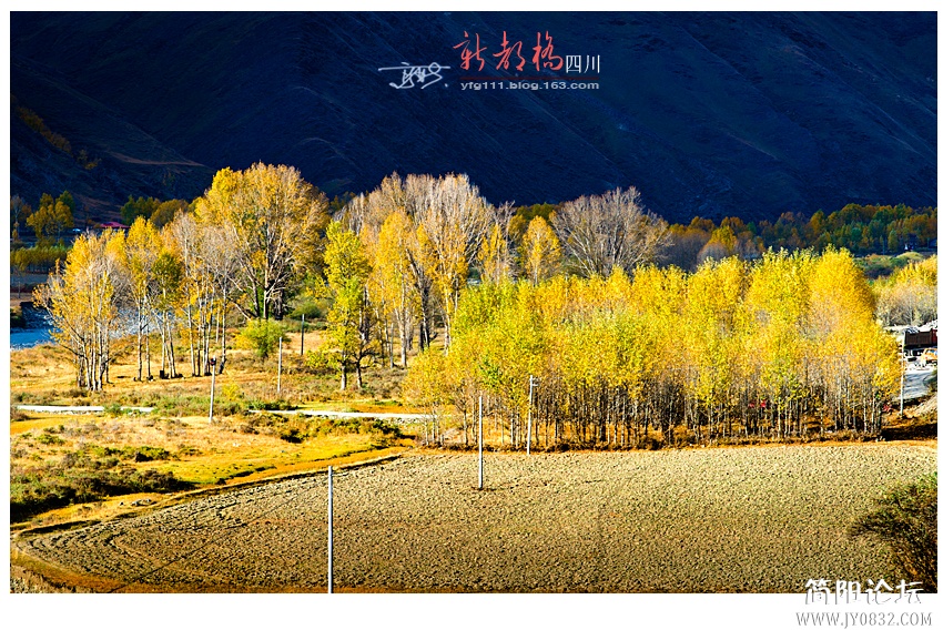 新都桥（三）——17.jpg