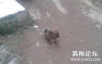 未命名.jpg