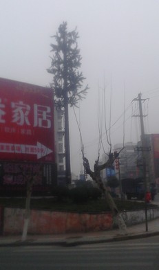 未命名.jpg