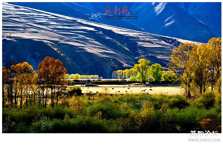 新都桥（四）——10.jpg