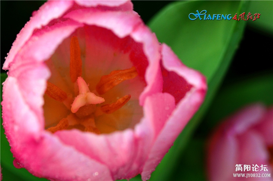 DSC_6382.jpg