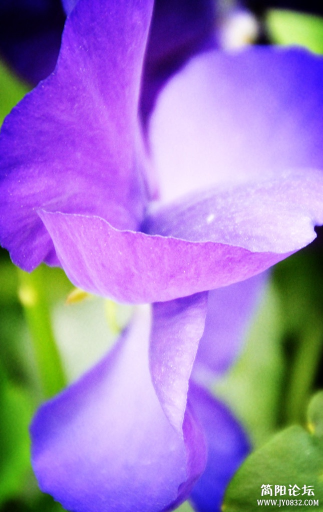 dsc_0080.jpg