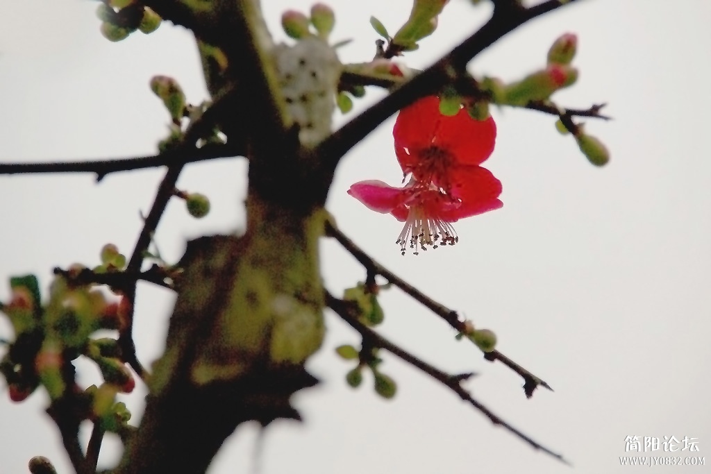 IMGP7655a.jpg