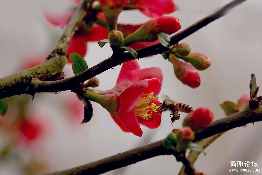 IMGP7724.jpg