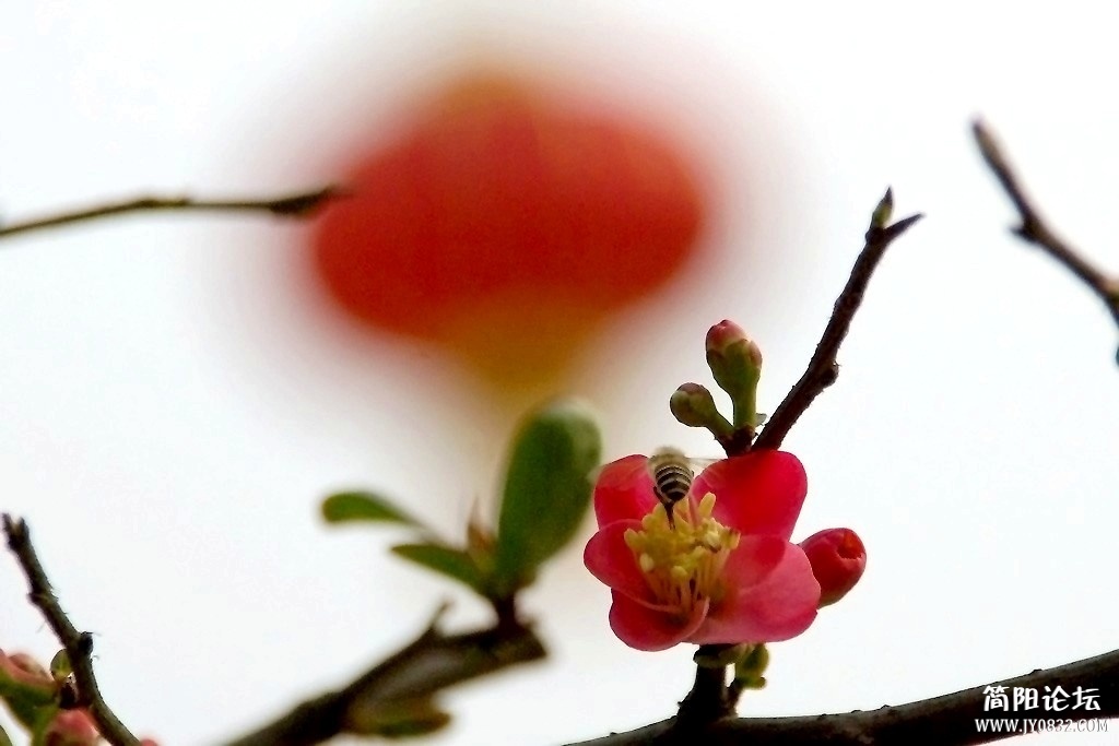 IMGP7846a.jpg