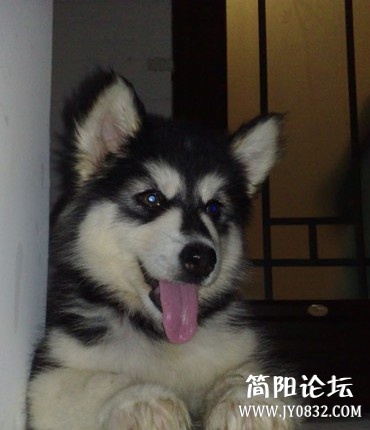 TKJBV@{Q%{U@X973P6H]9LO.jpg