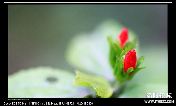nEO_IMG_IMG_9861.jpg