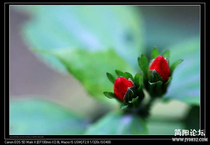 nEO_IMG_IMG_9865.jpg