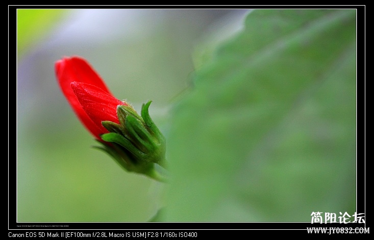 nEO_IMG_IMG_9888.jpg