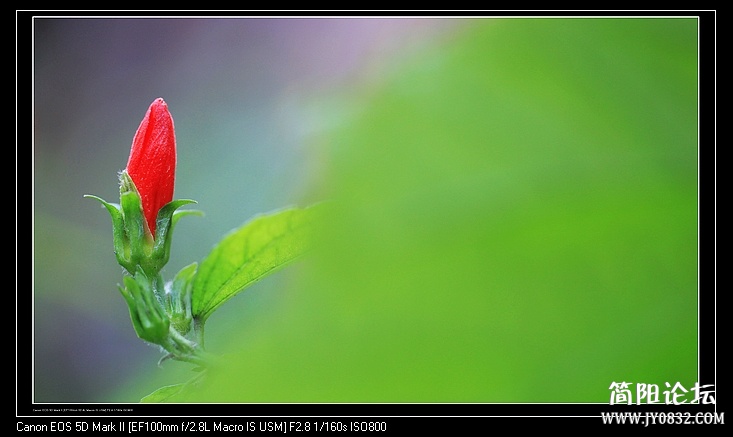 nEO_IMG_IMG_9900.jpg