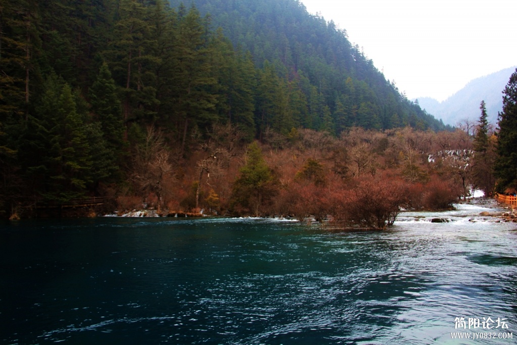 IMG_8241.jpg