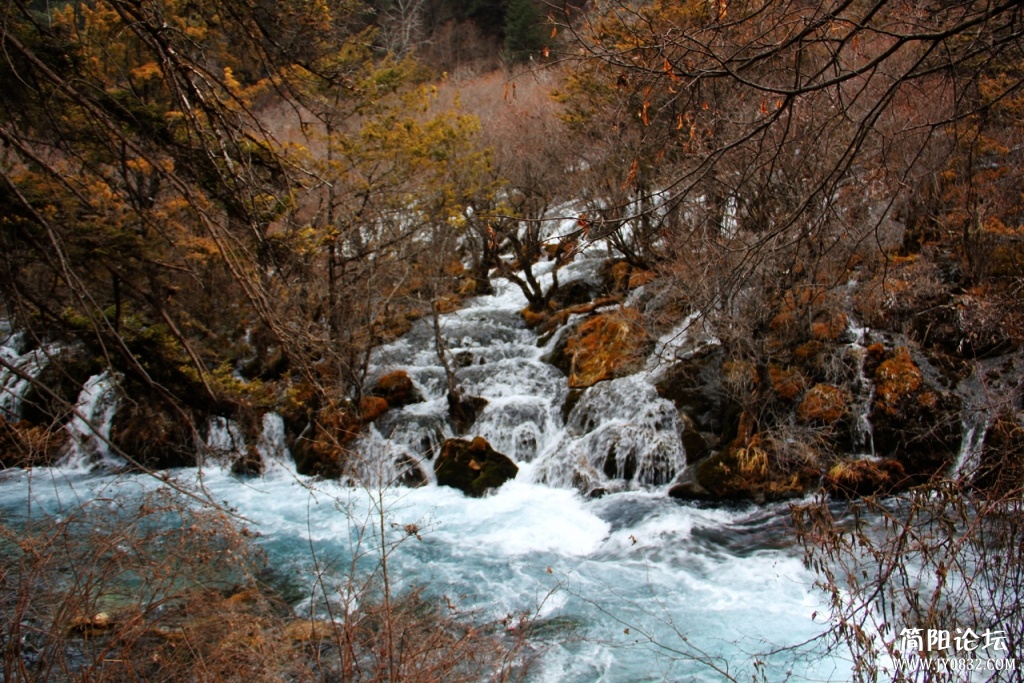 IMG_8265.jpg