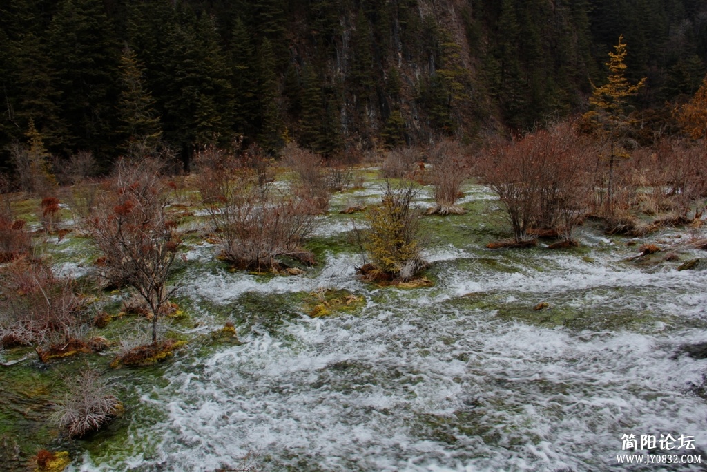 IMG_8458.jpg