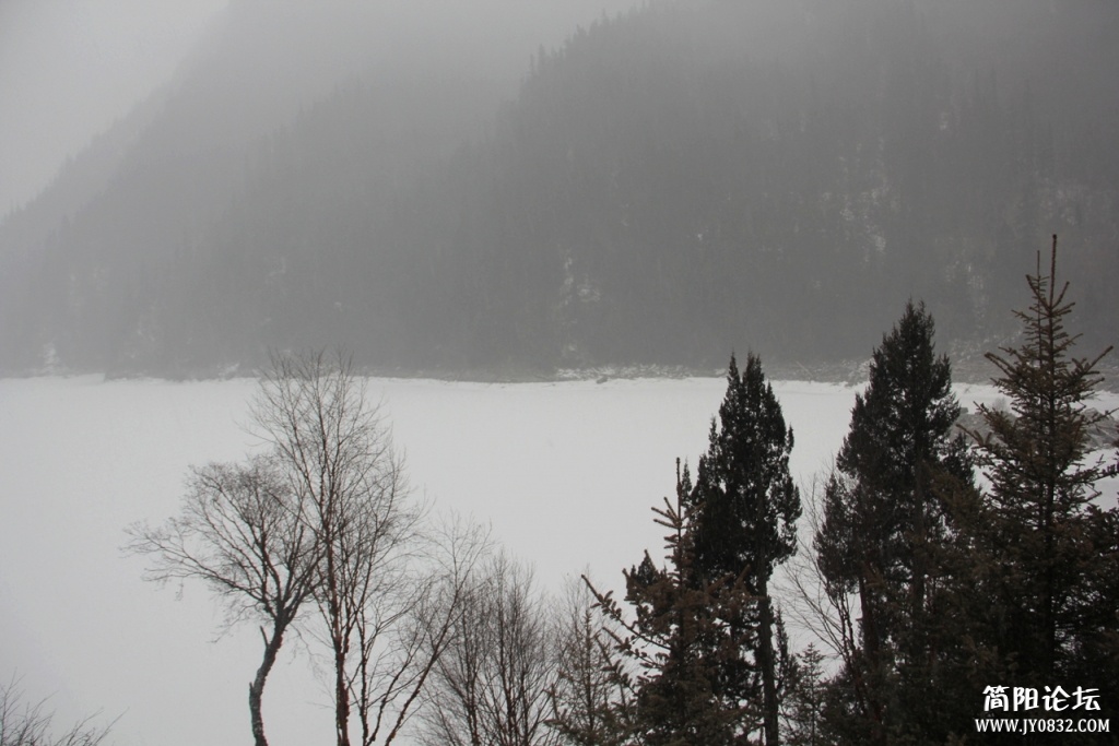 IMG_8556.jpg