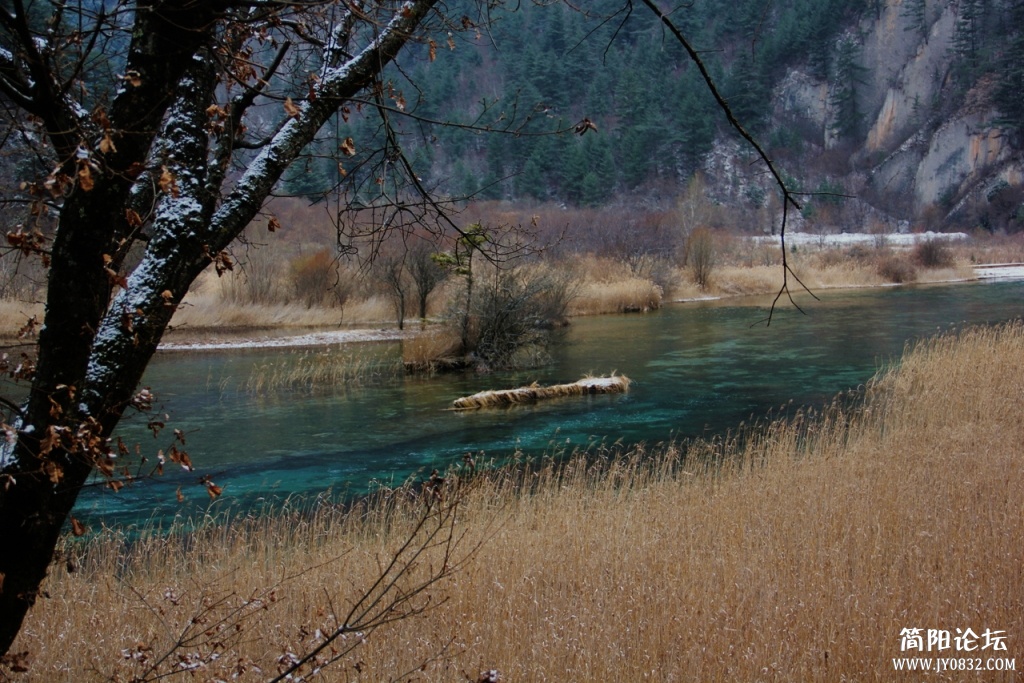 IMG_8760.jpg