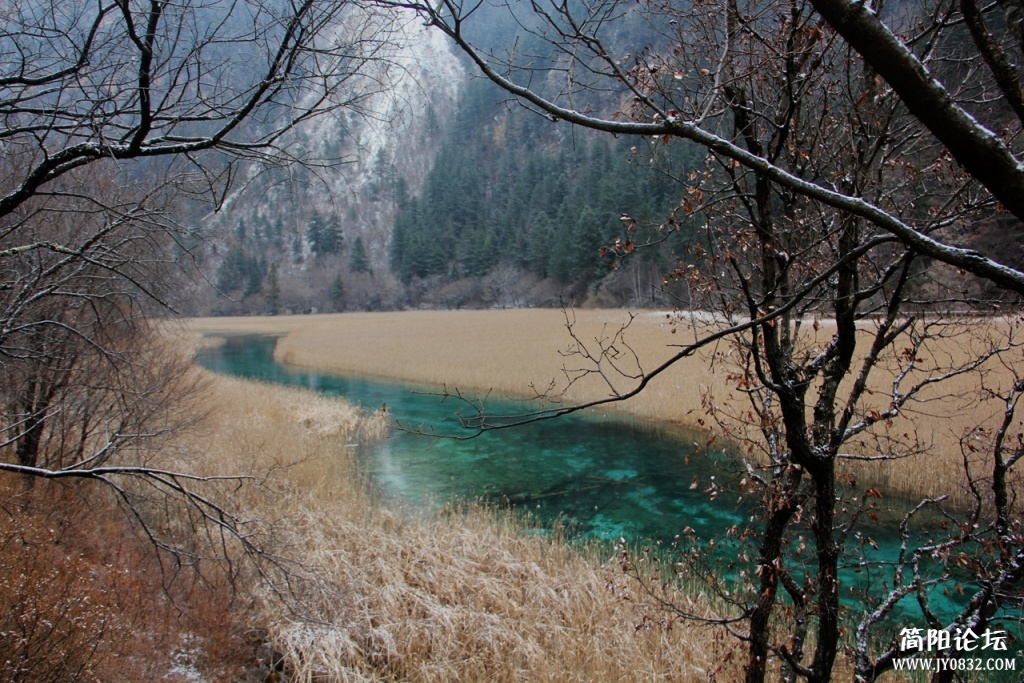 IMG_8770.jpg