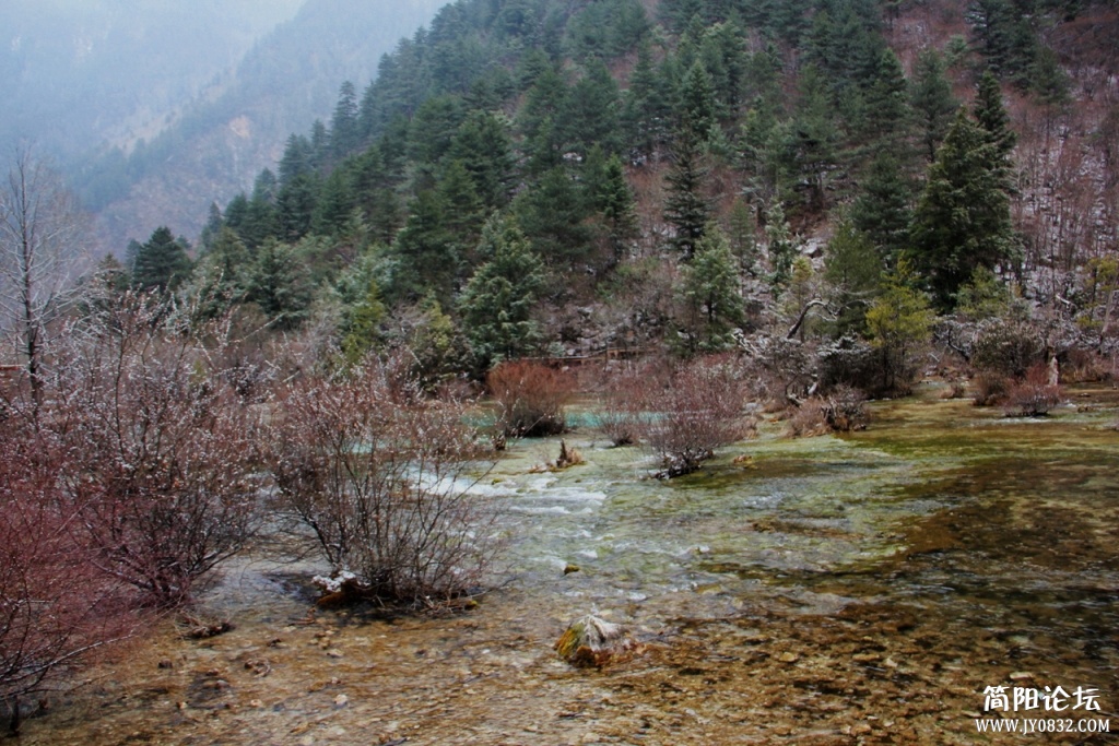 IMG_8793.jpg
