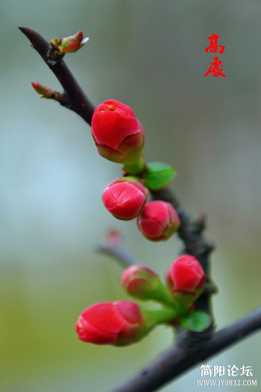 dsc_0018_副本.jpg