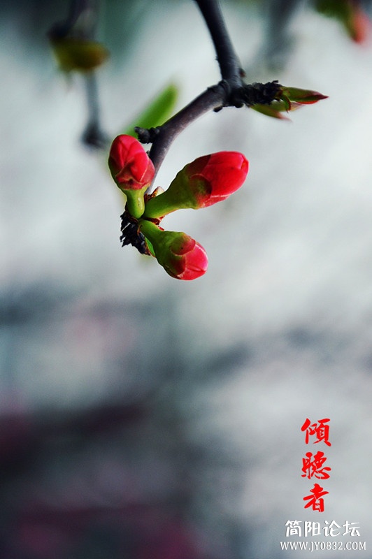 dsc_0020_副本.jpg