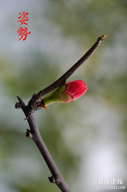 dsc_0024_副本.jpg