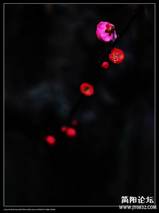nEO_IMG_IMG_0174.jpg