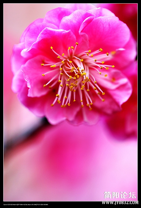 nEO_IMG_IMG_1149.jpg