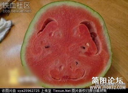 14920800.jpg
