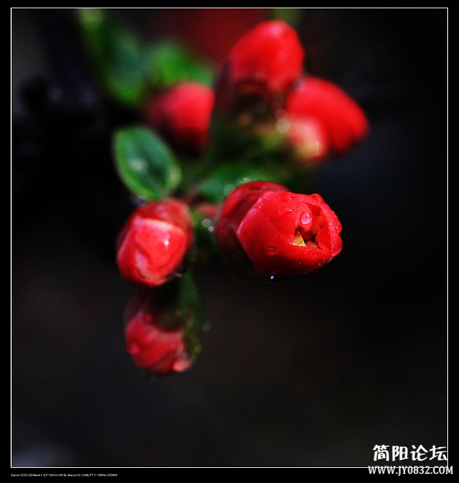 nEO_IMG_IMG_0319.jpg