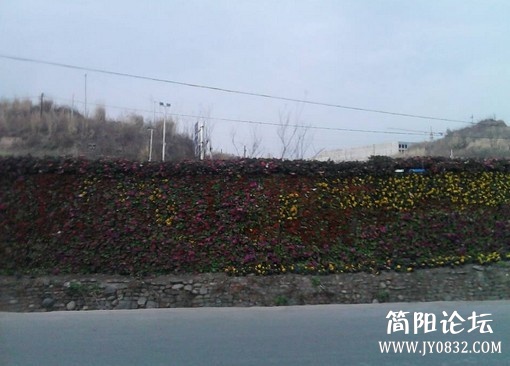 未命名.jpg