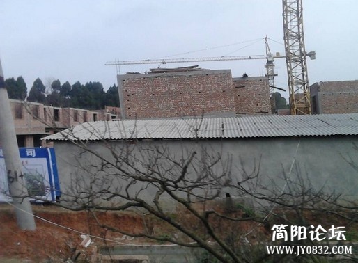 未命名.jpg