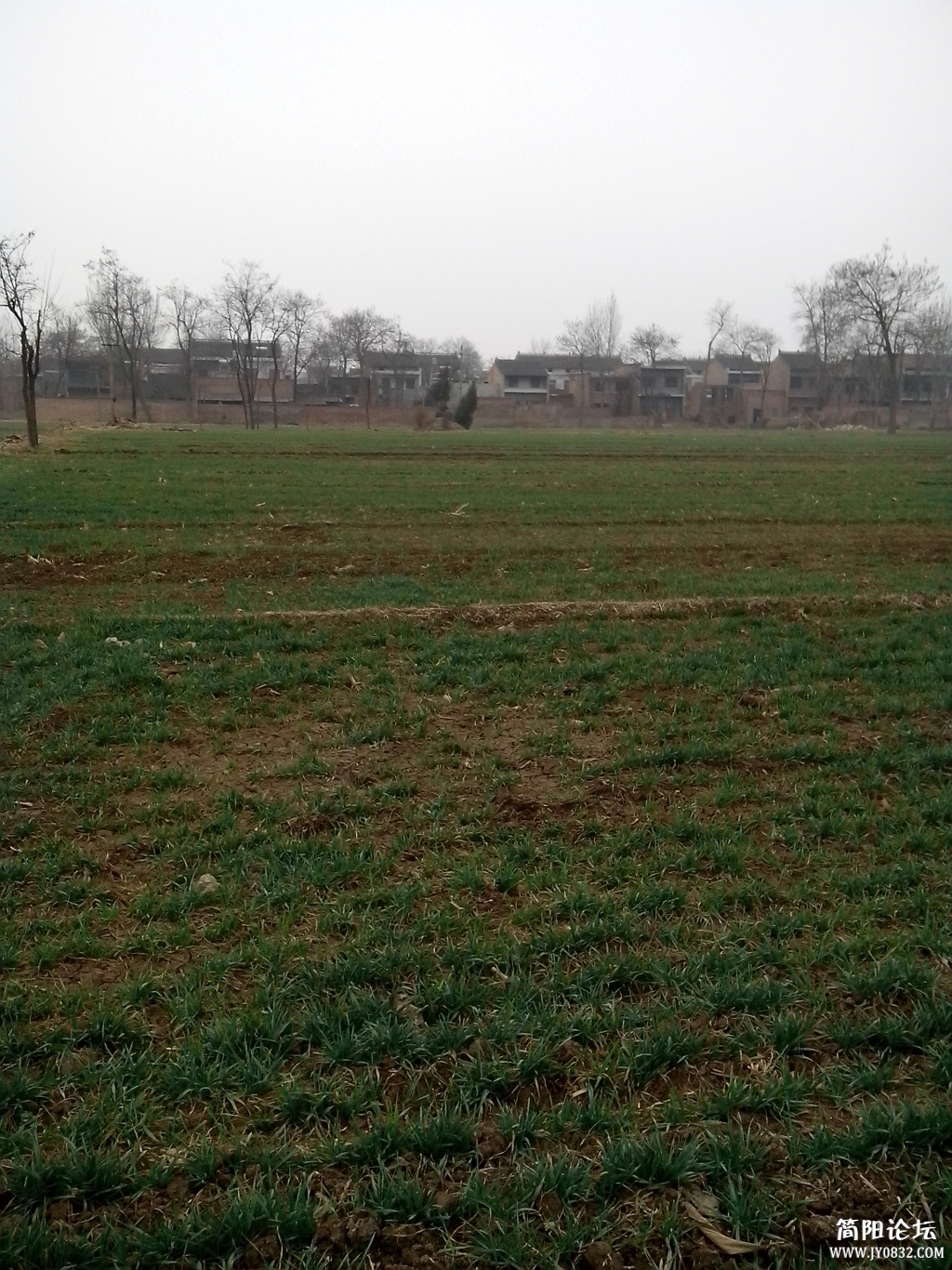 IMG_20130207_152646.jpg