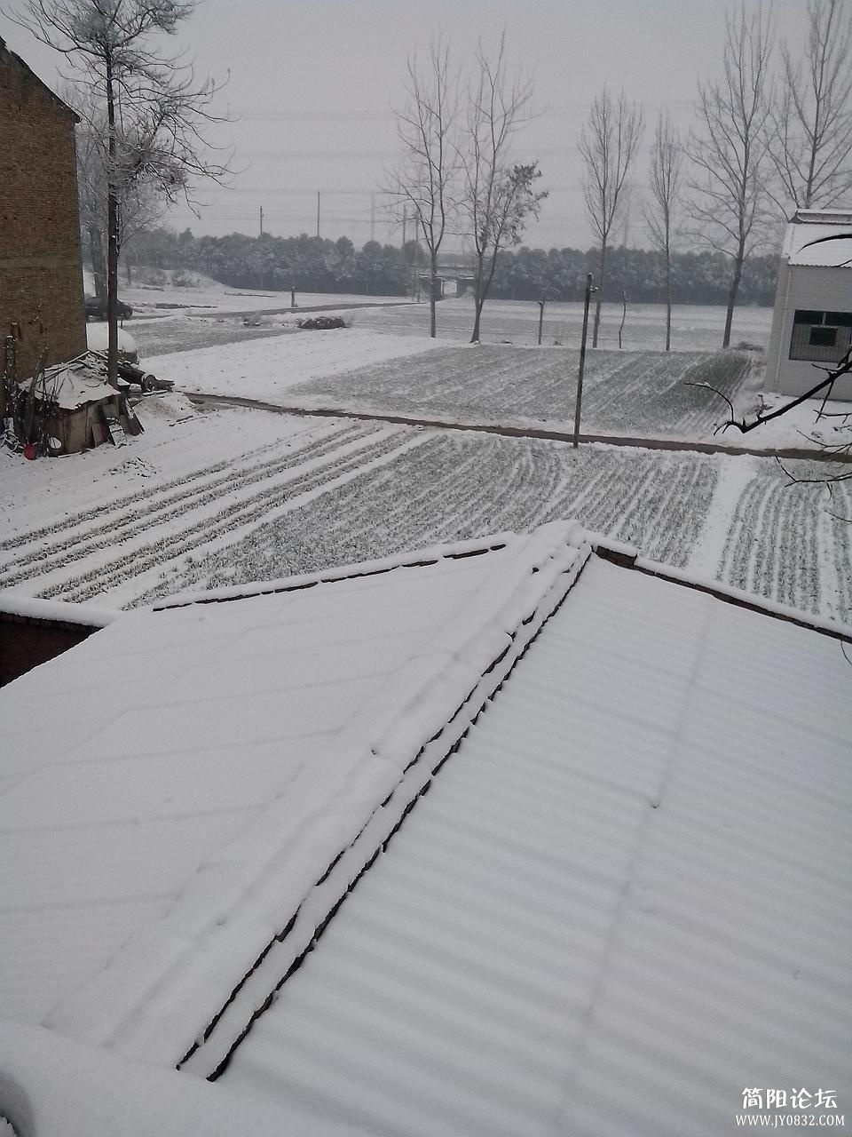 IMG_20130208_105111.jpg