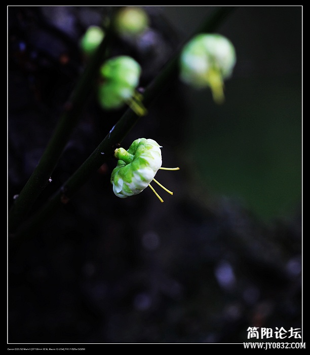nEO_IMG_IMG_0071.jpg